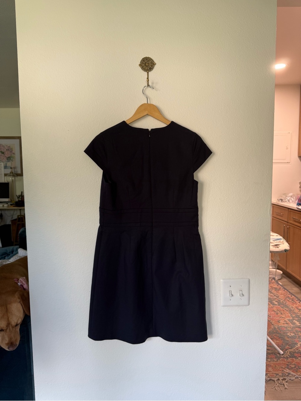 Ann Taylor Petite Navy Cap Sleeve Shift Dress 10P New With Tags - Picture 7 of 9